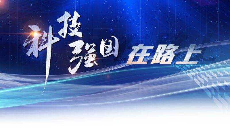 Java外包开发团队的选型逻辑：从技术栈到交付能力